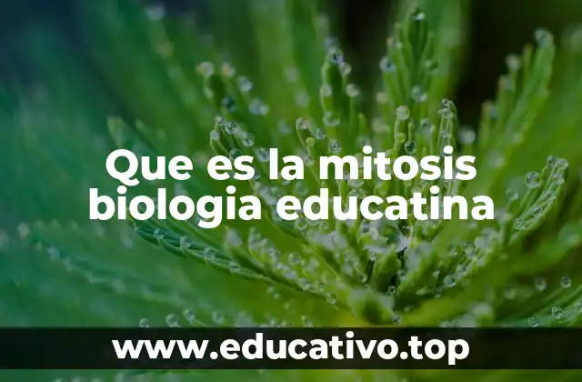 Que es la mitosis biologia educatina