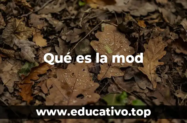 Qué es la mod