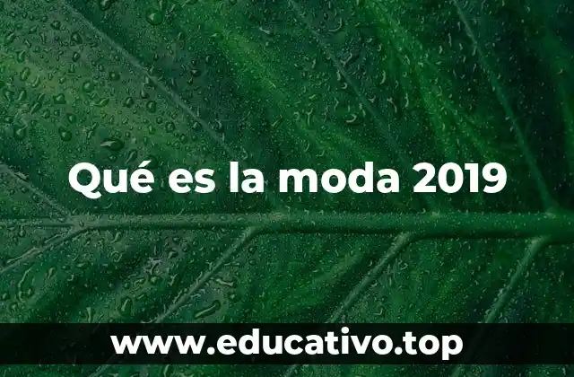 Qué es la moda 2019