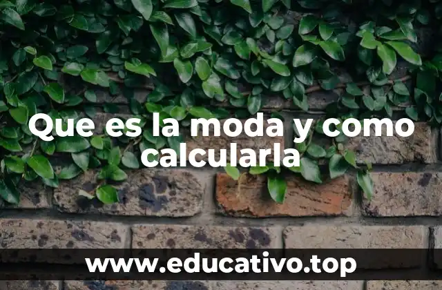 La moda como reflejo de tendencias en datos reales