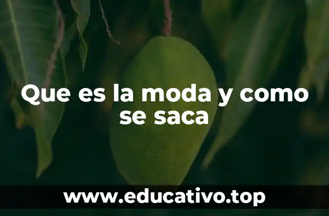 Que es la moda y como se saca