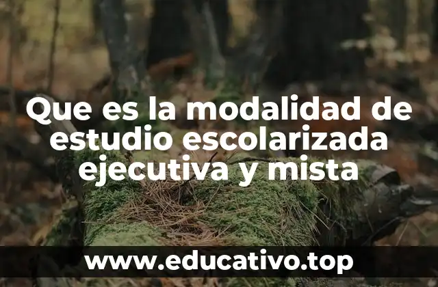 Que es la modalidad de estudio escolarizada ejecutiva y mista