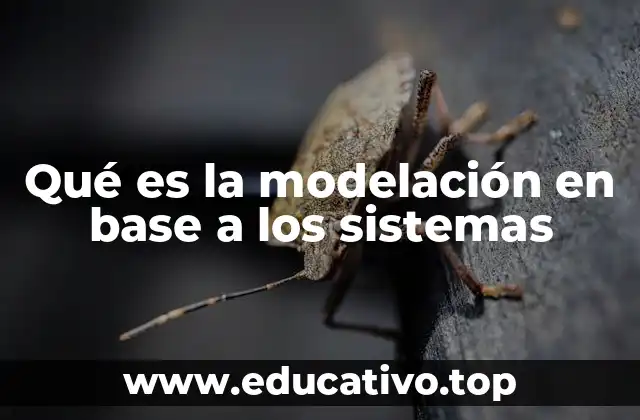 Qué es la modelación en base a los sistemas