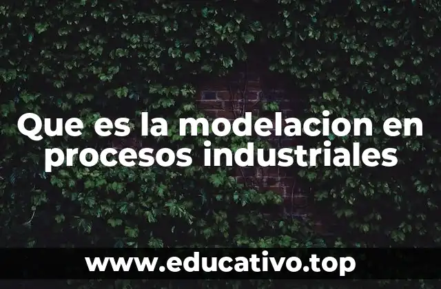 Que es la modelacion en procesos industriales