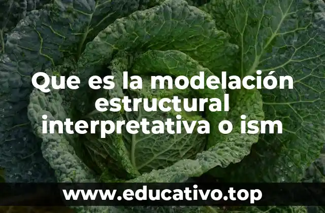 Aplicaciones de la modelación estructural interpretativa