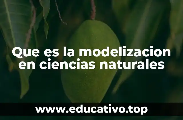 Que es la modelizacion en ciencias naturales
