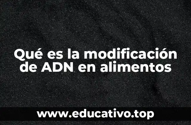 Qué es la modificación de ADN en alimentos