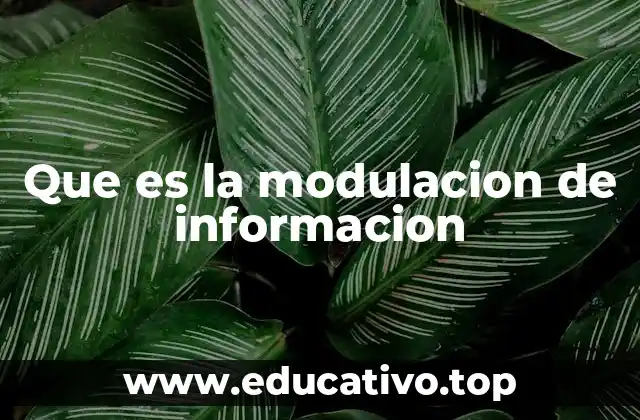 Que es la modulacion de informacion