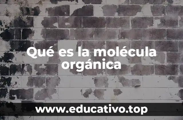 Qué es la molécula orgánica