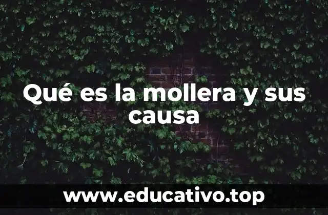 Qué es la mollera y sus causa
