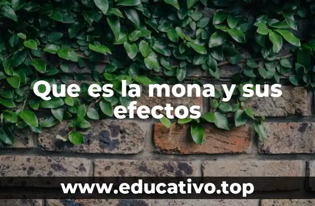 Que es la mona y sus efectos