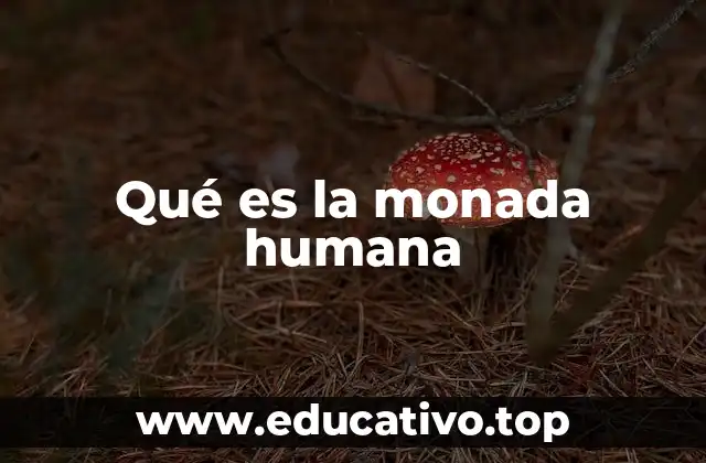 Qué es la monada humana