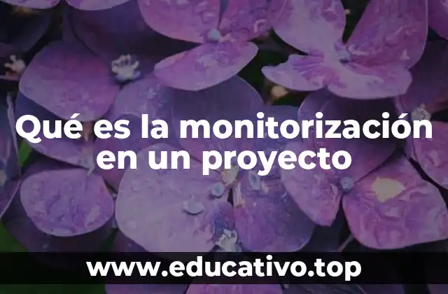 Qué es la monitorización en un proyecto