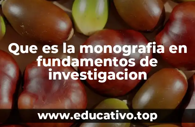 Que es la monografia en fundamentos de investigacion