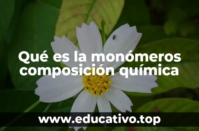 Qué es la monómeros composición química