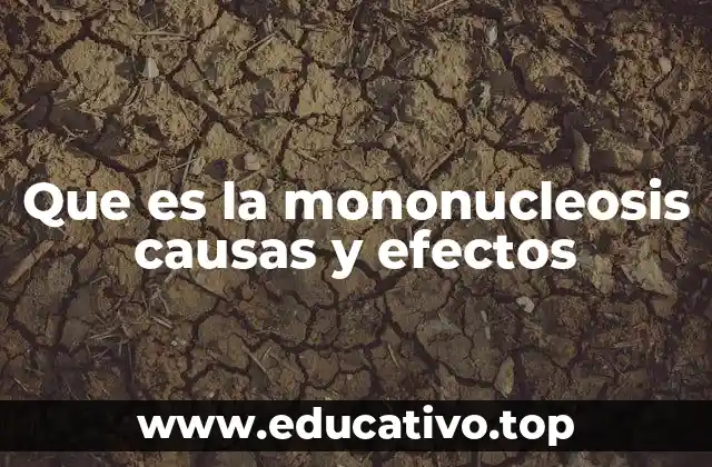 Cómo se transmite y qué factores influyen en la mononucleosis