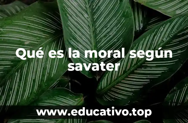 Qué es la moral según savater