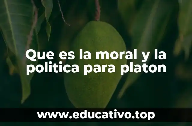 Que es la moral y la politica para platon