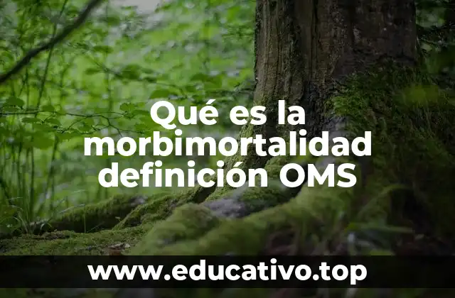 Qué es la morbimortalidad definición OMS