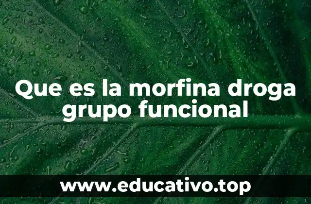 Que es la morfina droga grupo funcional