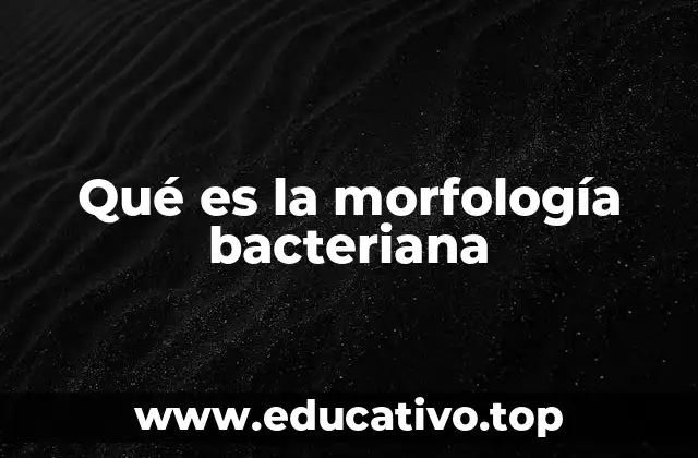Qué es la morfología bacteriana