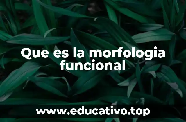 Que es la morfologia funcional