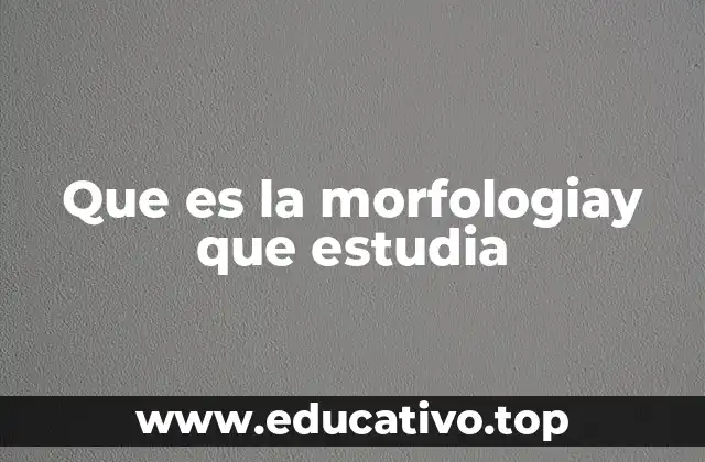 Que es la morfologiay que estudia