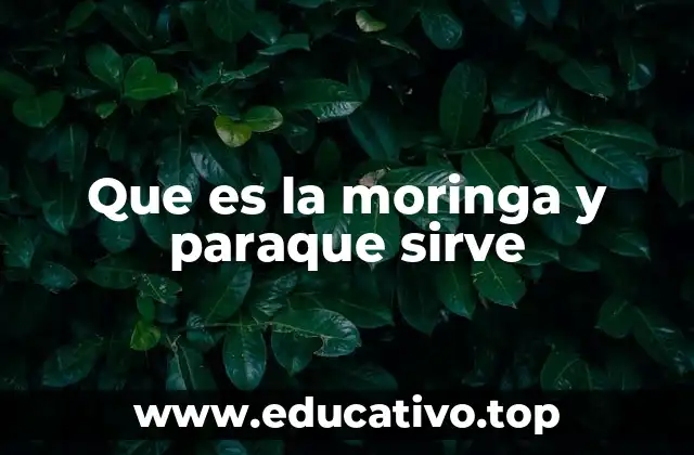 El árbol que puede cambiar la vida