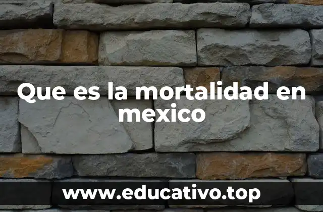 Factores que influyen en la mortalidad en México