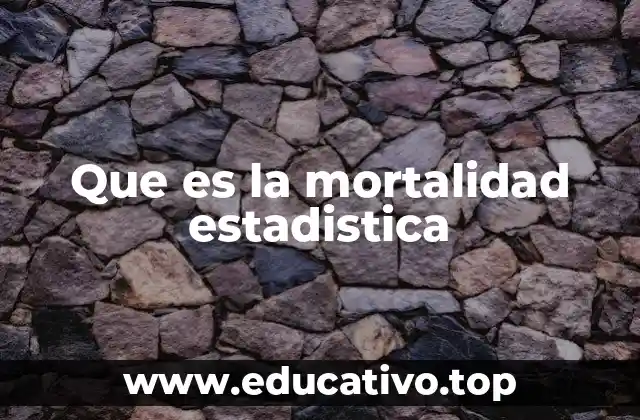 Que es la mortalidad estadistica