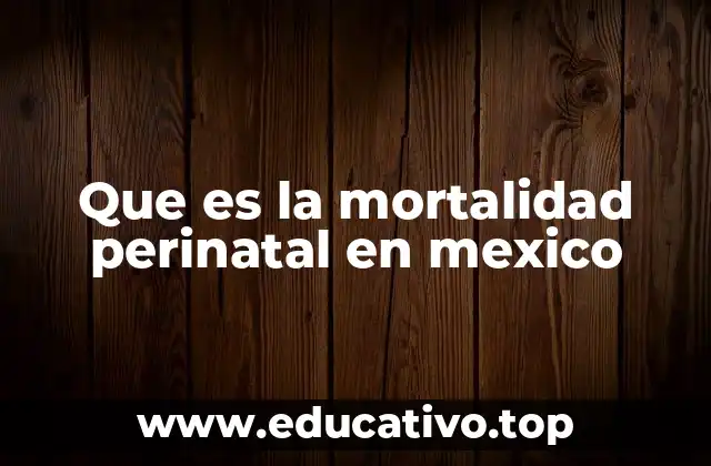 Que es la mortalidad perinatal en mexico