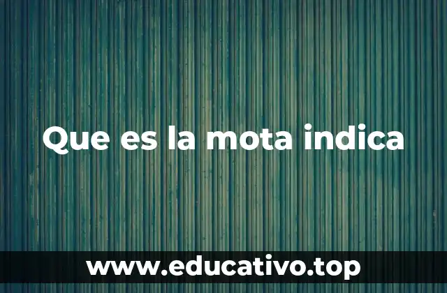 Que es la mota indica
