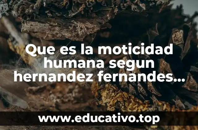 Que es la moticidad humana segun hernandez fernandes baptista 2003