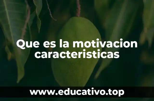 Que es la motivacion caracteristicas