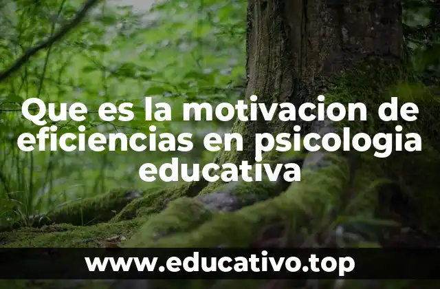 Que es la motivacion de eficiencias en psicologia educativa