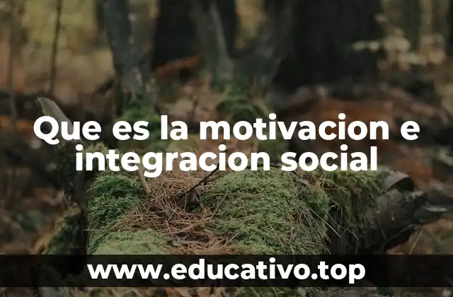 Que es la motivacion e integracion social