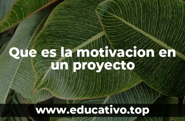 Que es la motivacion en un proyecto