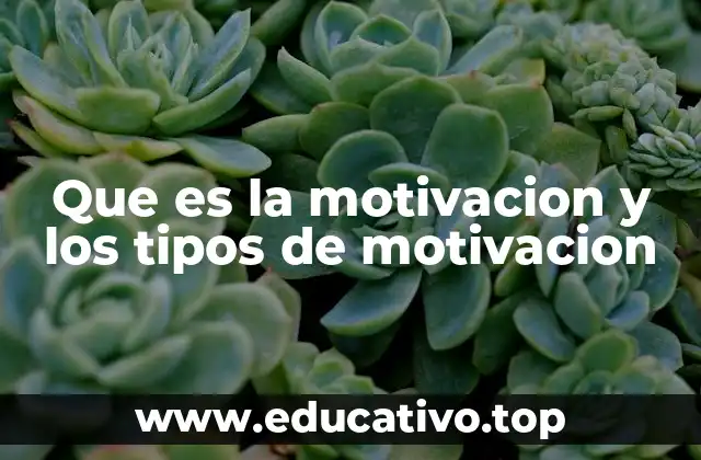 Que es la motivacion y los tipos de motivacion