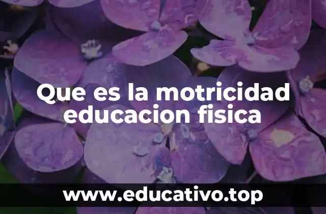 Que es la motricidad educacion fisica