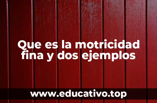 Que es la motricidad fina y dos ejemplos