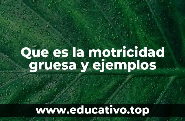 Que es la motricidad gruesa y ejemplos