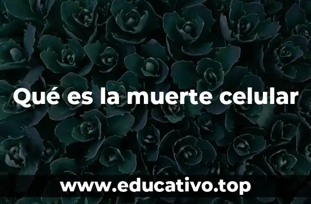 Qué es la muerte celular
