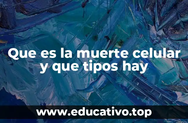 Que es la muerte celular y que tipos hay