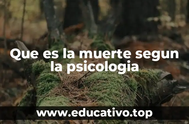 Que es la muerte segun la psicologia