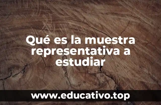 Qué es la muestra representativa a estudiar