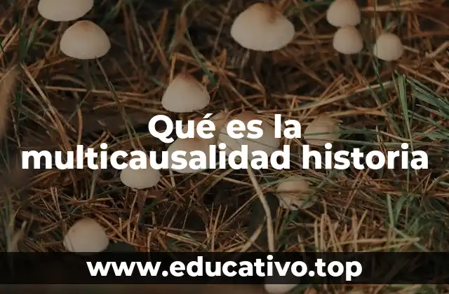 Qué es la multicausalidad historia