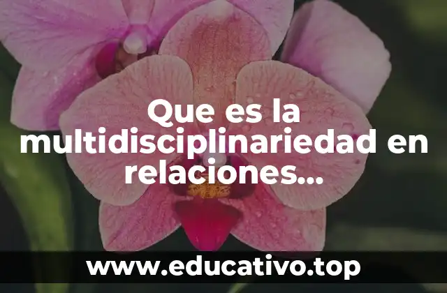 Que es la multidisciplinariedad en relaciones internacionales