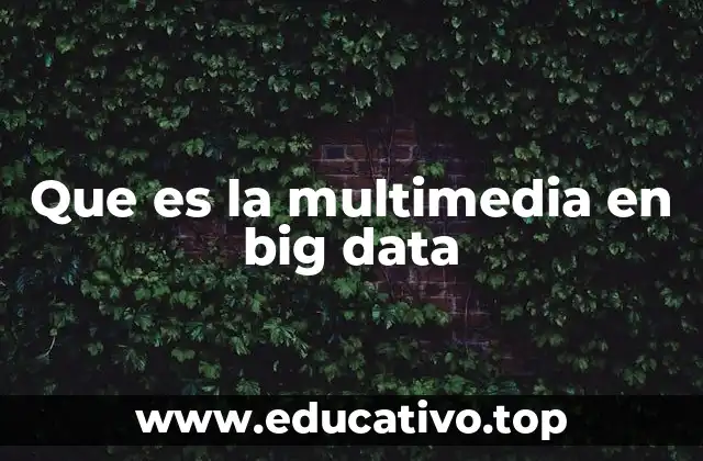 Que es la multimedia en big data