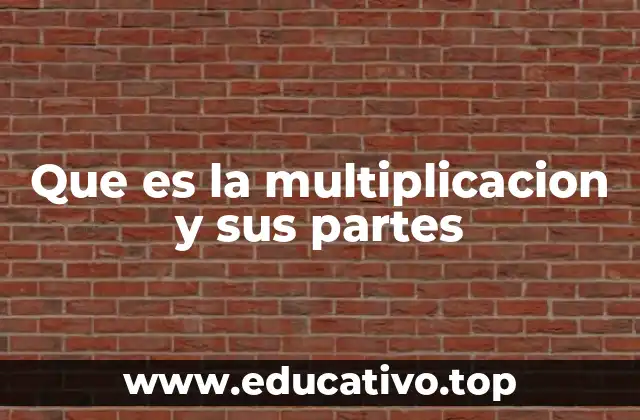 Que es la multiplicacion y sus partes