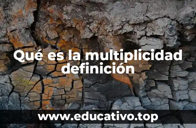 Qué es la multiplicidad definición